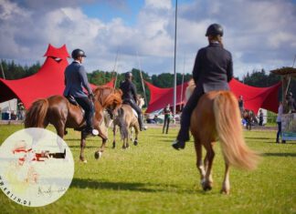 Norderheide OPEN – endlich ein komplettes Turnier!