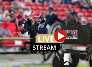 Deutsche Meisterschaft – LIVE Stream ermäßigt für unsere Mitglieder!