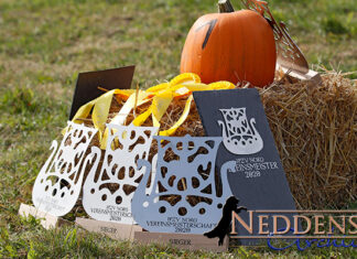 Vereinsmeisterschaft Tag 2 – es läuft richtig gut!