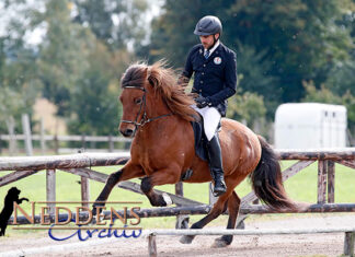 Vereinsmeisterschaft läuft auf Hochtouren