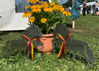 Deutsche Meisterschaft 2021 – wir wünschen euch viel Erfolg!