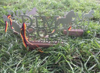 DIM Tag 4 – what a great day!