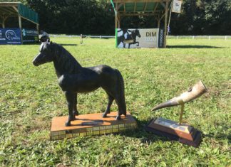 DIM – Finaltag – so viele tolle Ritte!