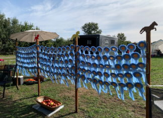 DIM Tag 3 – Freitag Viergangpreis und Passrennen 3. und 4. Lauf