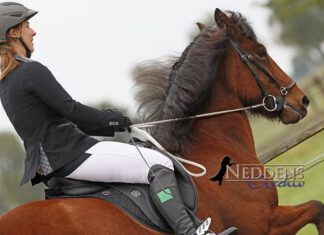 Vereinsmeisterschaft: Sonntag = Finaltag