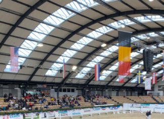 IPZV Nord INDOORS & Körung Holstenhalle – Zeitplan und Körkatalog online