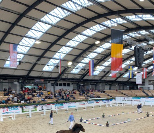 IPZV Nord INDOORS & Körung Holstenhalle – Zeitplan und Körkatalog online