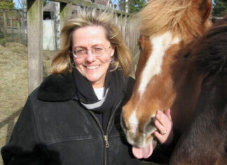 IPZV Nord ONLINE – tolle Abende für Mitglieder