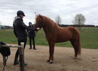 Zukunft Zucht Team für 2021 steht!