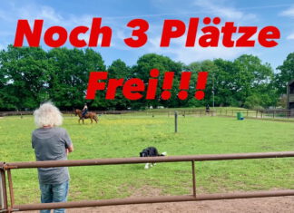 Einladung zum Kindertag mit André Böhme