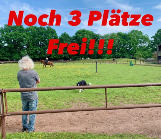 Einladung zum Kindertag mit André Böhme