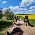 B8C4D26E-D5A0-4618-ACC2-4622798C8C93