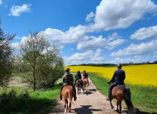 Nord reitet aus Ritt No. 3 – es sind noch Plätze frei