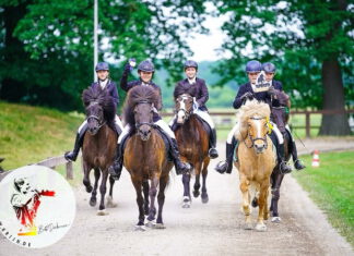 Mittsommernachtsturnier auf Godemoor – es war toll!