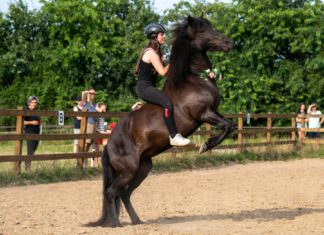 Jugend- und Breitensportfestival – das macht richtig Freude!