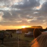 82e367cc-be6b-43dd-adfe-35d41eecac65