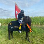 95a3c220-792a-4b33-96f5-685d7377deb0