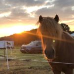 9d4b12b7-3695-4f57-aeca-a238d5a50197