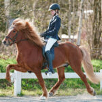 A7R08562.jpg-krijnde