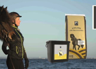 Equsana unterstützt großzügig die Sportmeisterschaft!