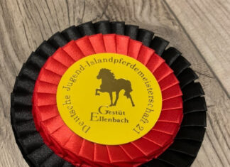 DJIM – Finaltag wir sind stolz auf euch!