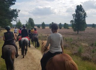 „Nord reitet aus“ Ausritt No. 4 – wir freuen uns auf euch!