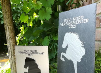 Tolle Pokale von Steel and Style für die Sportmeisterschaft