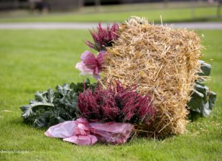 Sportmeisterschaft Tag 1 – ein Blick hinter die Kulissen!