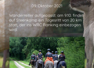 Islandpferdehof Steenkamp – zwei tolle Termine – Wanderreitercup und ISI-Trec