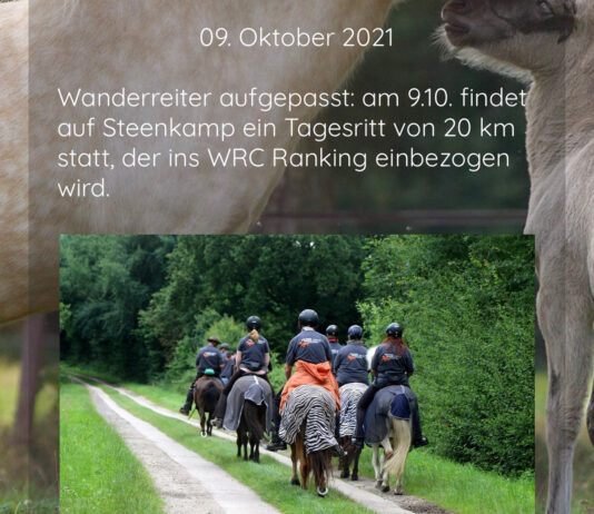 Islandpferdehof Steenkamp – zwei tolle Termine – Wanderreitercup und ISI-Trec