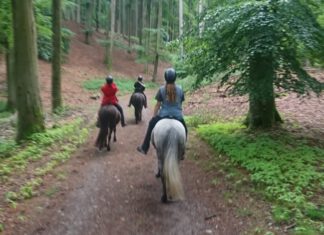 Nord reitet aus – Ritt No. 5 – Ausschreibung online!