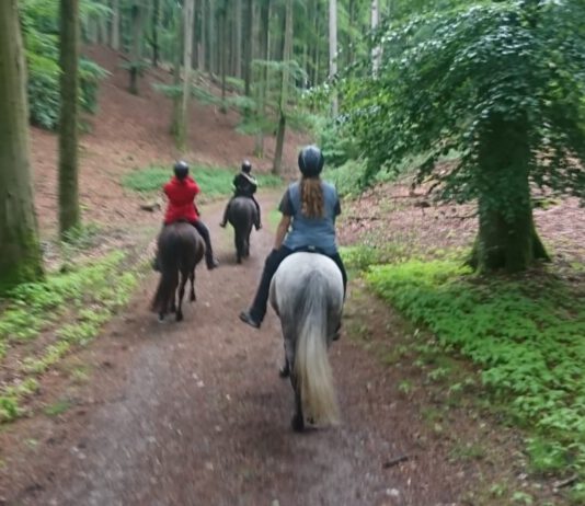 Nord reitet aus – Ritt No. 5 – Ausschreibung online!