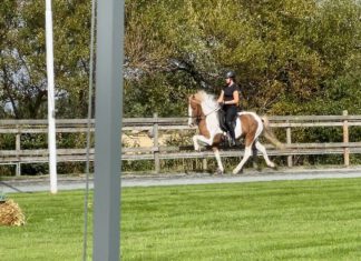 Sportkader trainiert mit Magnús Skúlason