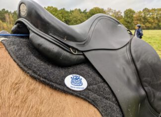 Nord reitet aus – Bericht vom Klövensteen!