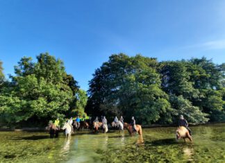 Nord reitet aus — Goldener Oktober-Ritt — Bericht!