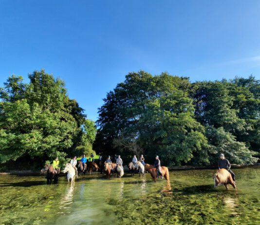 Nord reitet aus — Goldener Oktober-Ritt — Bericht!