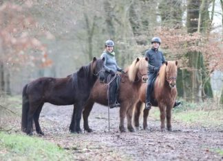 Nord reitet aus – Ritt No.6 – Ausschreibung online!