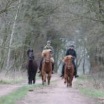 df812405-07f0-4204-ab17-b42e54d24e24