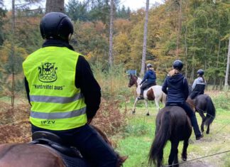 Nord reitet aus – auf den Spuren von Dick und Dalli