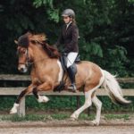 E1A1C14F-7F25-4255-9E9D-BE2BF3CCEB8C