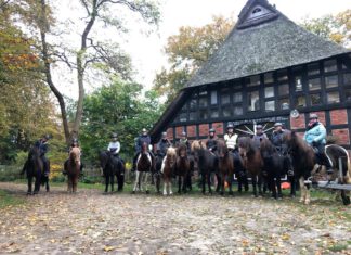 Nord reitet aus – Bericht vom Ritt No. 6