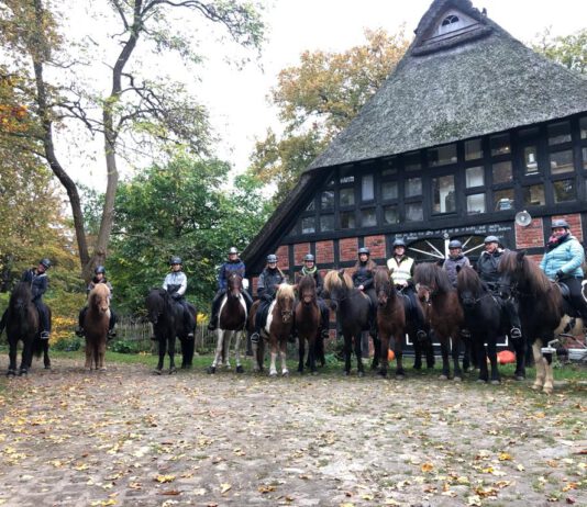 Nord reitet aus – Bericht vom Ritt No. 6