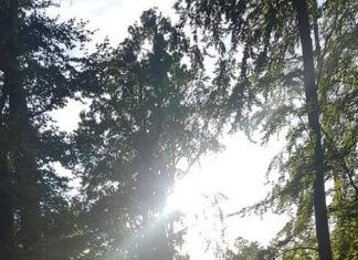 Nord reitet aus – Neue Tour Einladung und Ausschreibung – Owschlager Moor