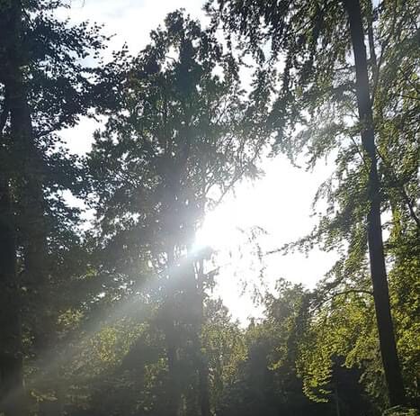 Nord reitet aus – Neue Tour Einladung und Ausschreibung – Owschlager Moor