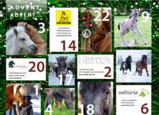 Adventskalender im HESTUR – Verlosung