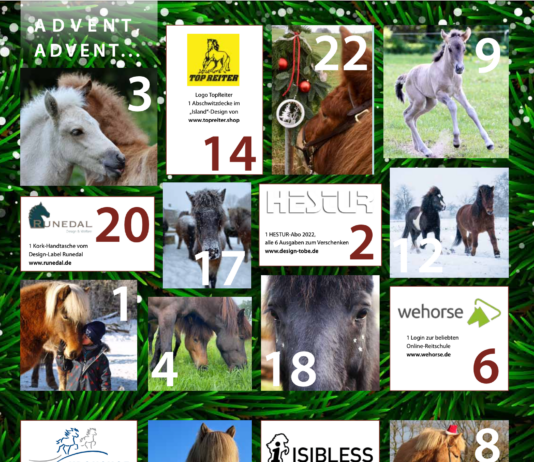 Adventskalender im HESTUR – Verlosung