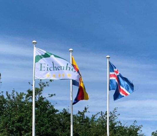 DIM – der Zeitplan ist online