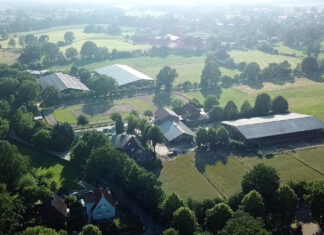 Norddeutsche Hengstparade Zeitplan und weitere Infos online!