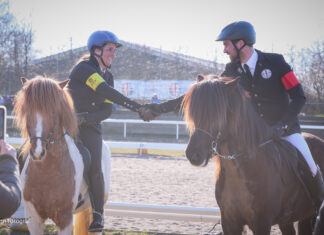 Norddeutsche Hengstparade –  IPZV Nord Outdoor Turniersaison startet sonnig auf Vindhólar