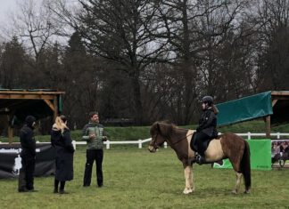 Achtung ausgebucht! Einladung zum Jugendtraining „Leichte Prüfungen“ mit Andreas Windsio